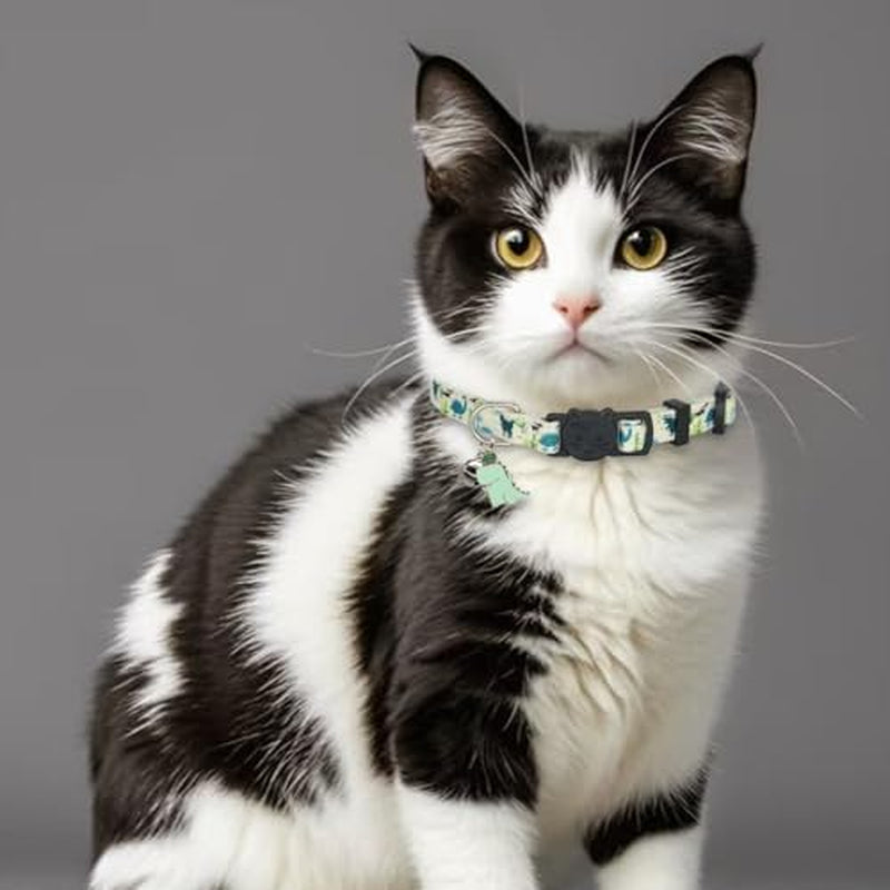 Cat Collar Breakaway, 2 Pack Cotton Cats Collars with Bells, Cute Dinosaurs Shaped for Girl Boy Kittens